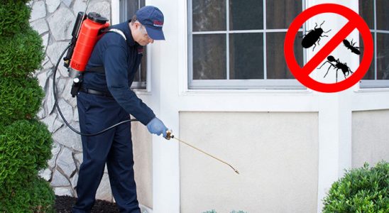 Soğukkuyu Dezenfeksiyon böcek ilaçlama ve haşere kontrolü — ilaclama-tr.com